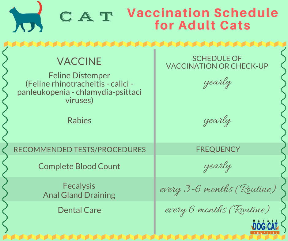 Adult Cat Vaccination Schedule