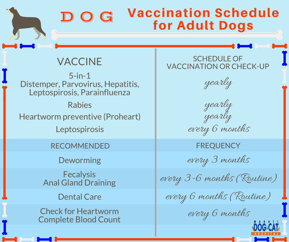 Adult Dog Vaccination Schedule