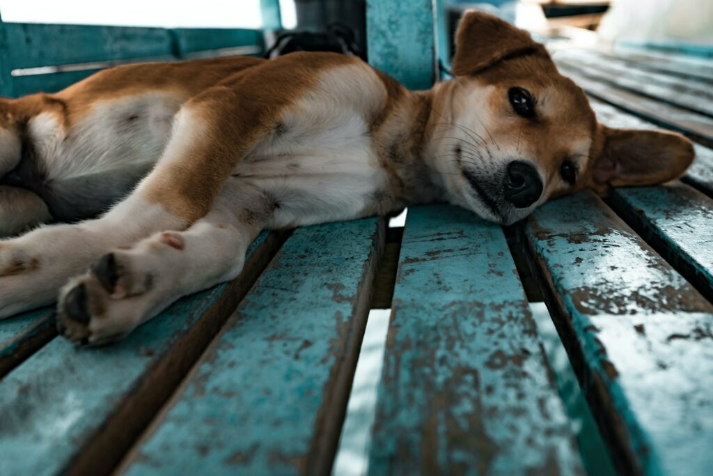 aspin