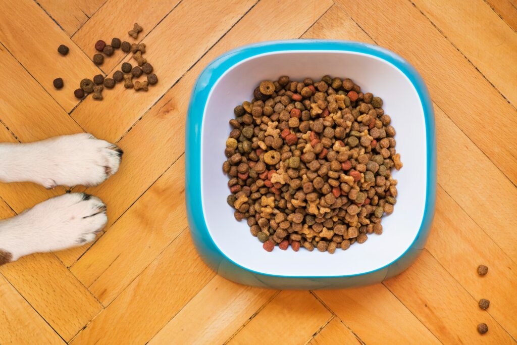 dog kibbles