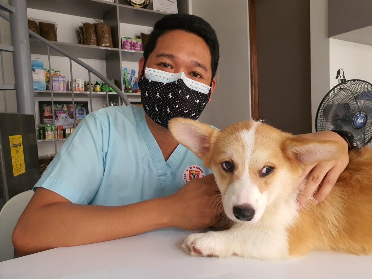vet with a dog