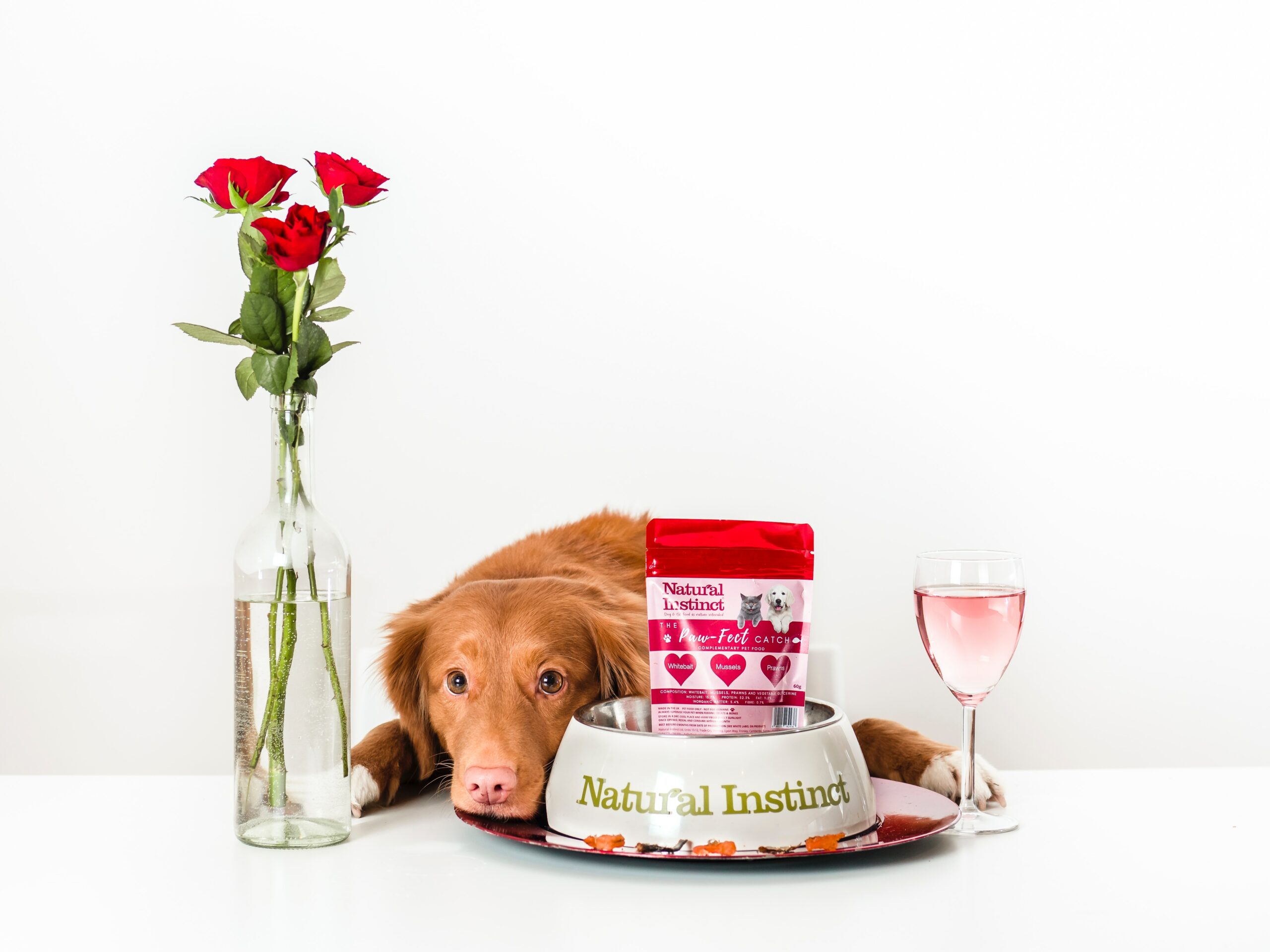 What to Look for in a Pet-Friendly Cafe